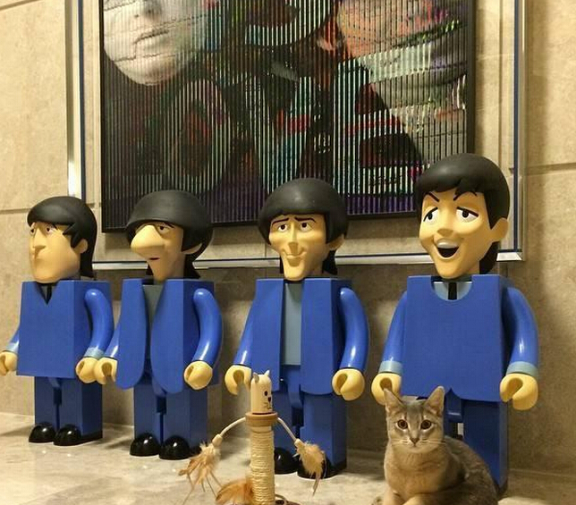 權(quán)志龍的家里設(shè)計