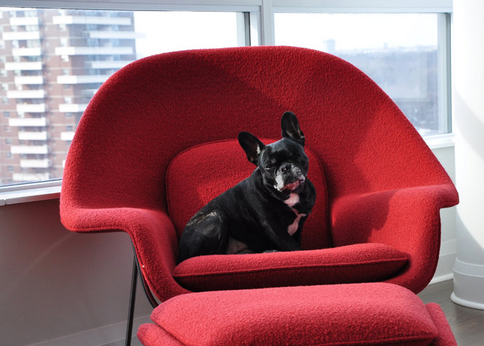 寵物愛躺椅